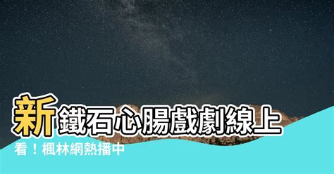 新鐵石心腸楓林網